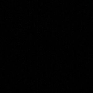 Meet your Posher, Jessie